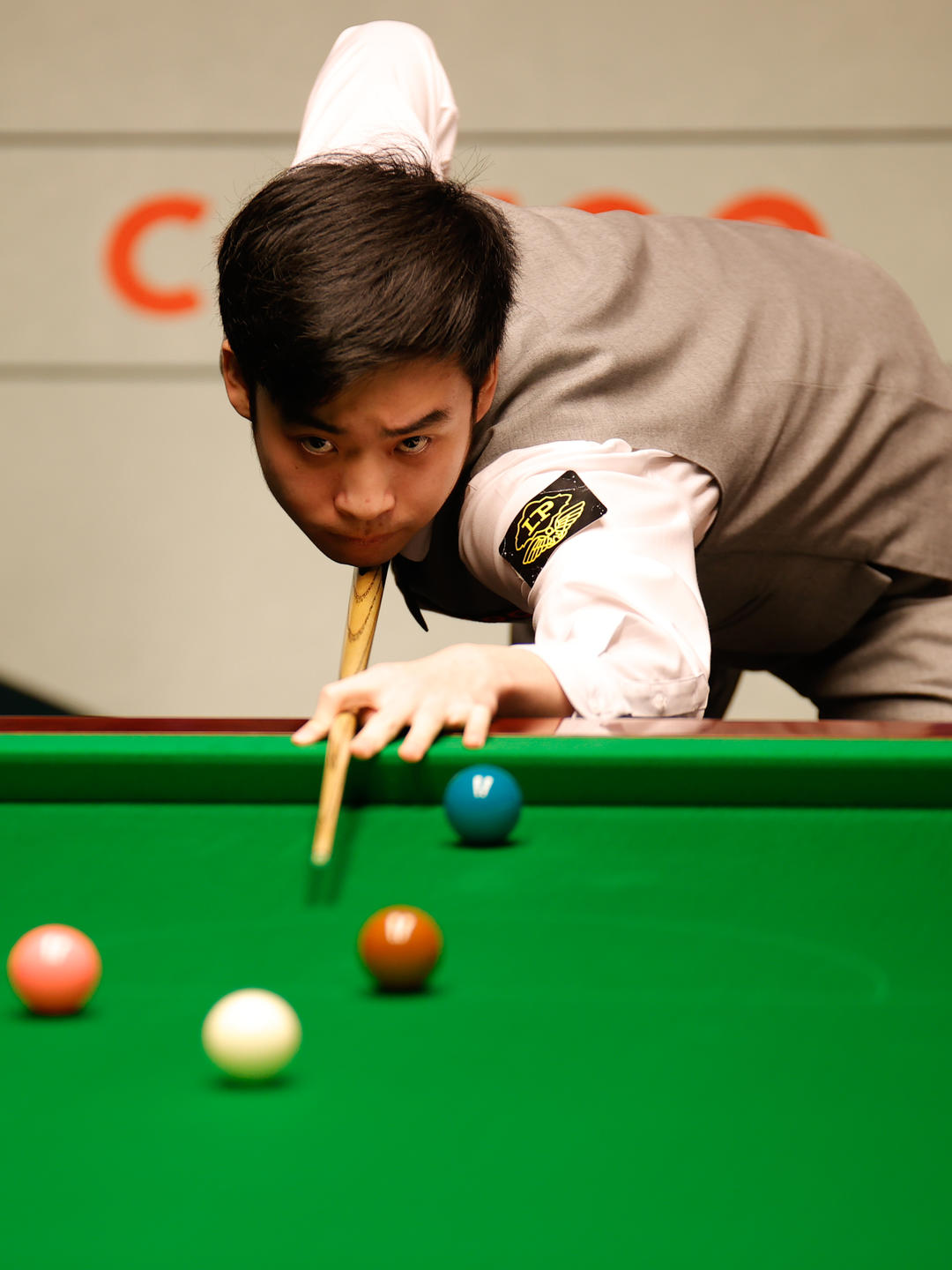 通过引进特 通过引进特