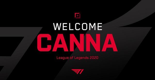 站会大量布 站会大量布